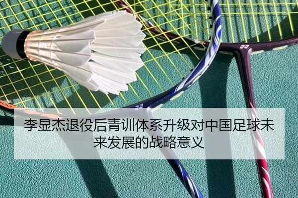 李显杰退役后青训体系升级对中国足球未来发展的战略意义